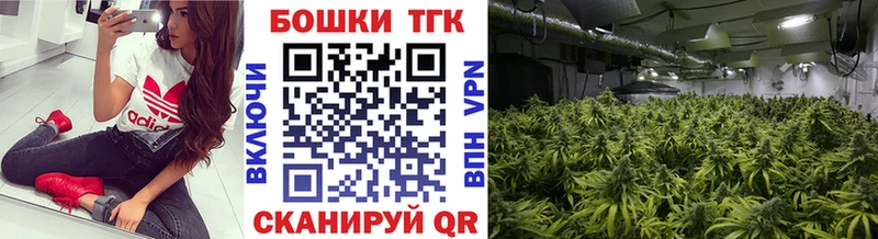 ссылка на мегу онион  Ступино  Бошки Шишки White Widow  что такое  
